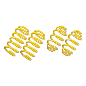 Product of Suspension Techniques 65838 Lowering Kit