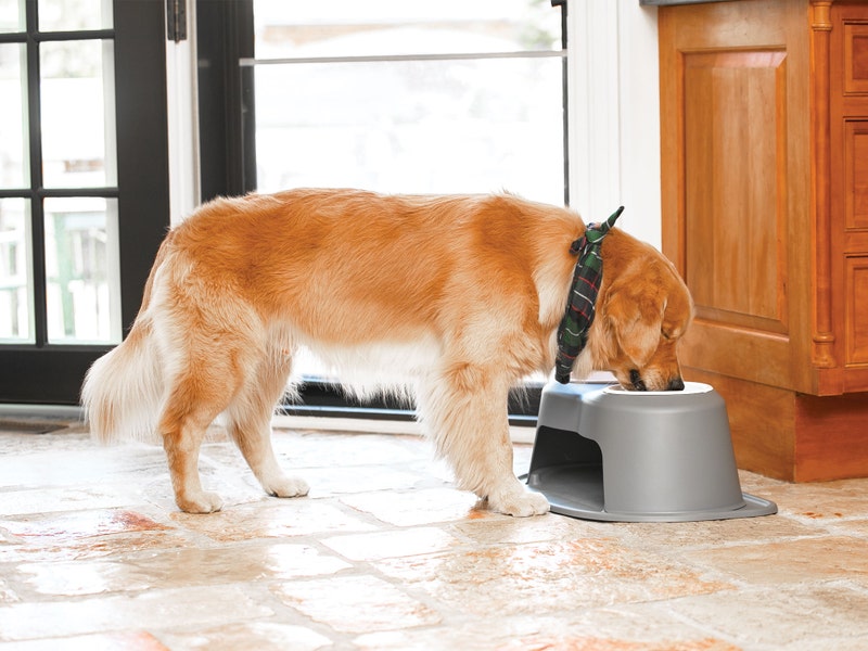 Weathertech (Usa) Pdhc0803dgdg Pet Dish||pdhc0803dgdg_4.Jpg||89||w24pdhc0803dg||2268180