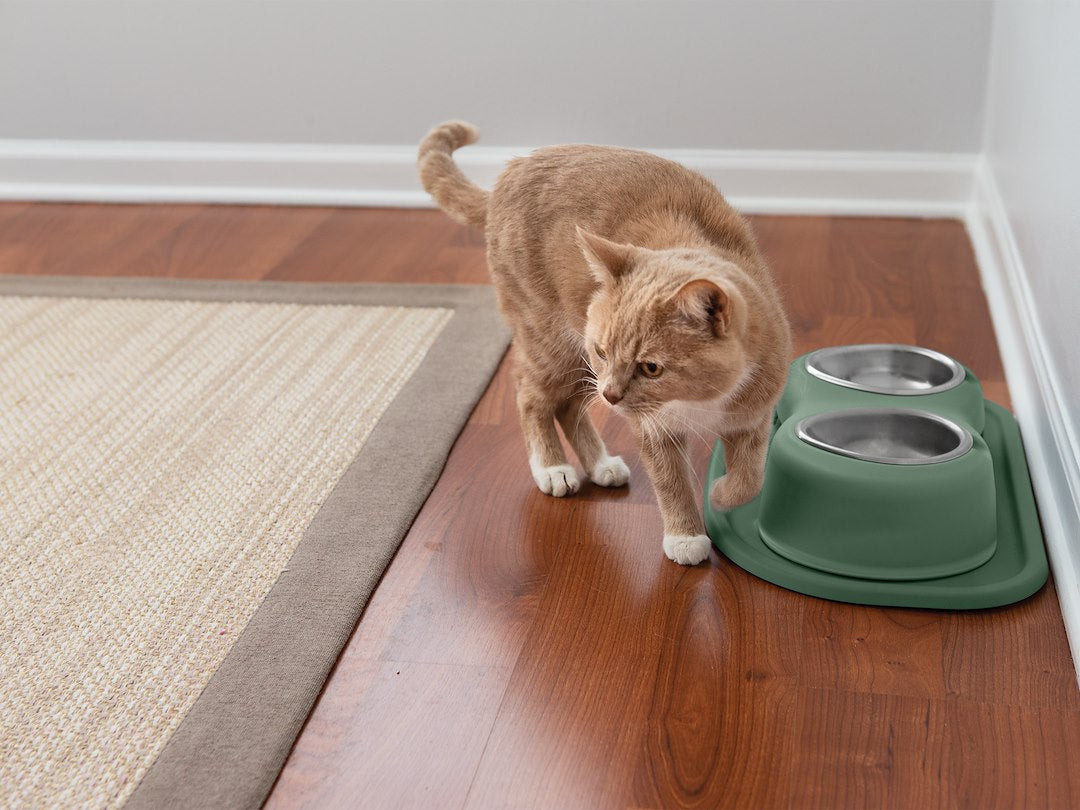 Weathertech (Usa) Dhc0803hghg Pet Dish||dhc0803hghg_Pfs_Adult_Cat_Double_High_3_Green.Jpg||86||w24hc0803hghg||1505764