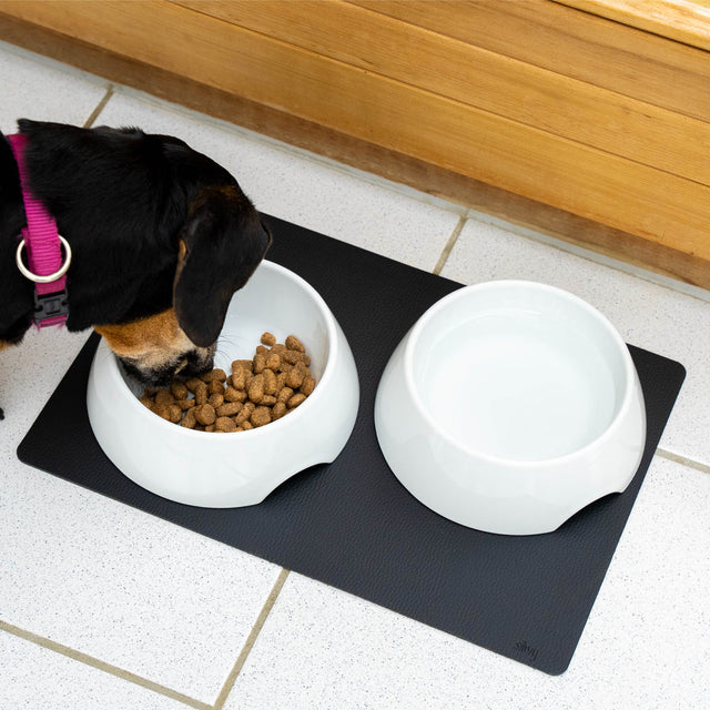 Silwy Magnetic Fn-P-3 Pet Dish||fn-P-3_2.Jpg||87||swyfnp3||2260753