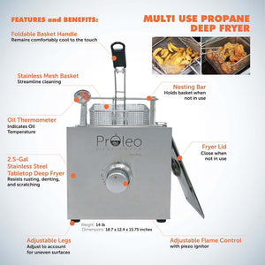 Flame King Proleo Fryer||proleo_7.Jpg||92||y6eproleo||1758933