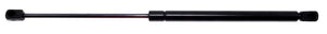 Product of Strong Arms 46934 Hood Oem