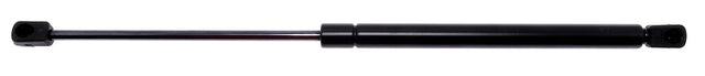 Product of Strong Arms 46934 Hood Oem