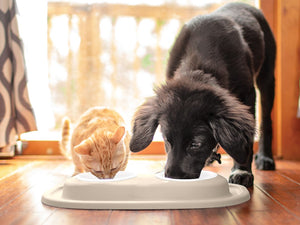 Weathertech (Usa) Dl1602tn Pet Dish||dl1602tn_1.Jpg||86||w24dl1602tn||1426853