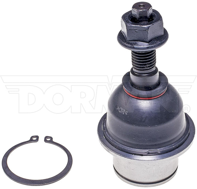 Dorman Chassis Bj86065xl Ball Joint||bj86065xl-007.Jpg||85||d18bj86065xl||1098742