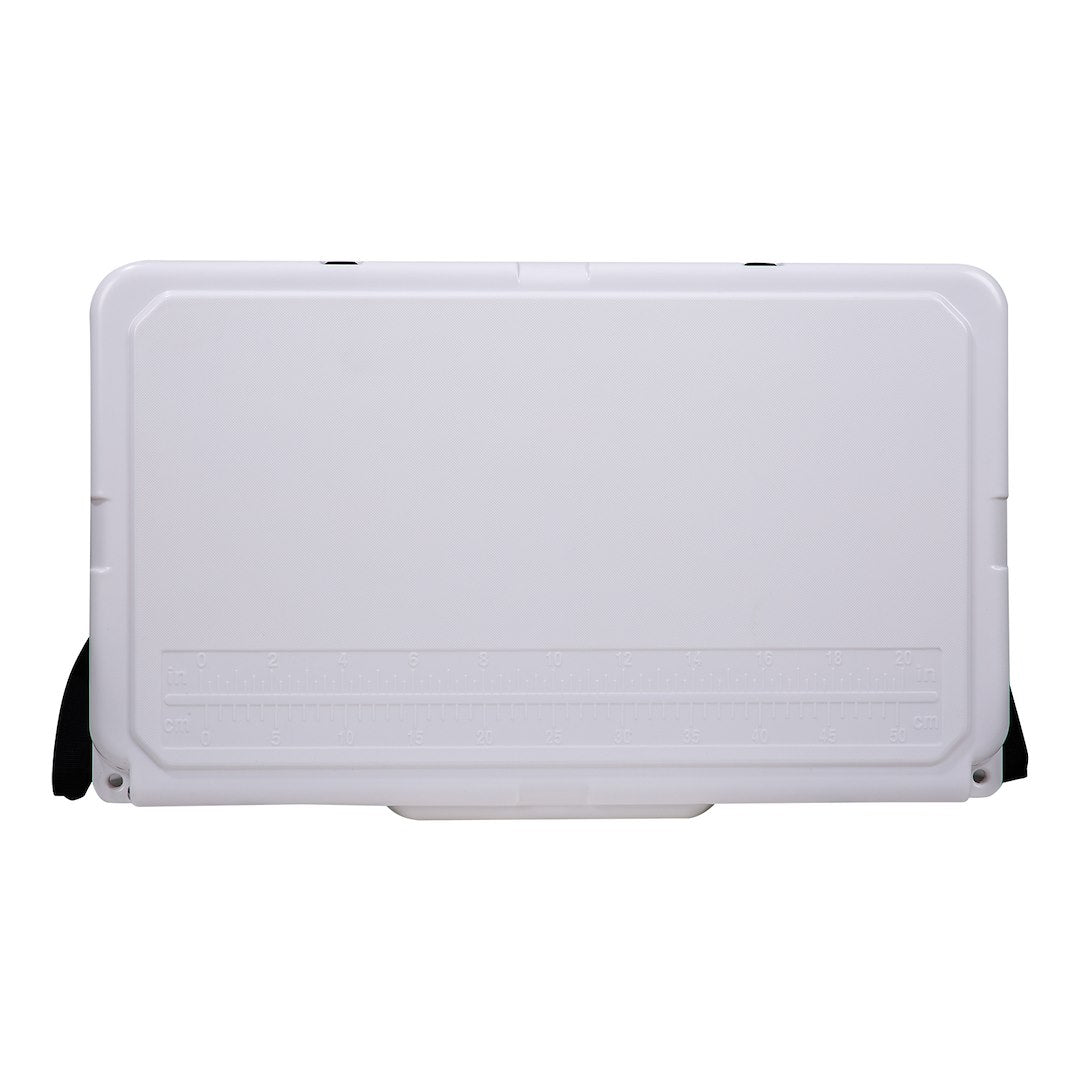 Product of Husky Towing Big Dog Beverage Cooler 45 Quart BDC45 