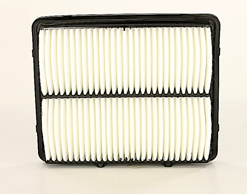 Product of Wix Filters 49250 OEM Disposable Air Filter 