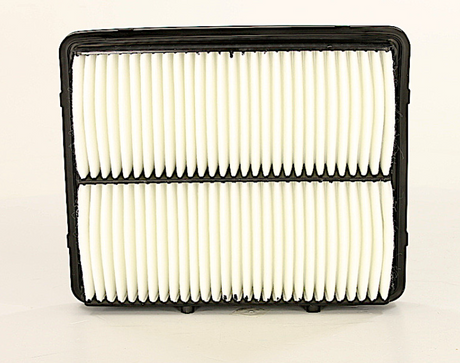 Product of Wix Filters 49250 OEM Disposable Air Filter 