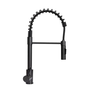 Product of Lippert Components 2021090598 Faucet