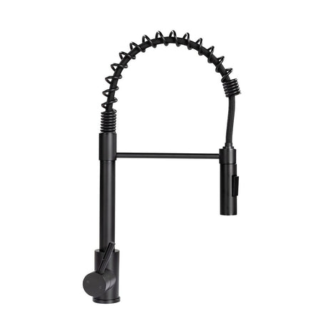 Product of Lippert Components 2021090598 Faucet