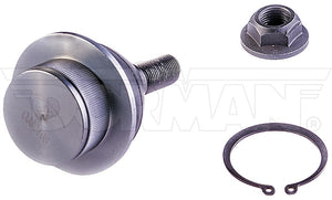 Dorman Chassis Bj85235xl Ball Joint||bj85235xl-002.Jpg||87||d18bj85235xl||1158398
