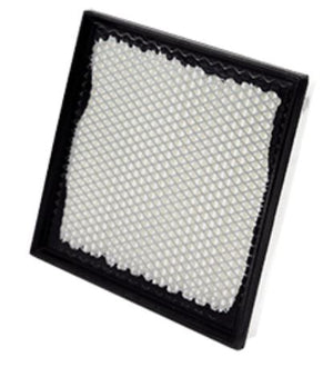 Product of Wix Filters 49049 OEM Disposable Air Filter 