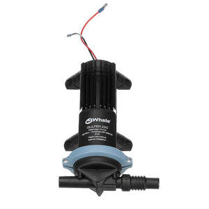 Product of Whale Bp1552 Toilet Pump