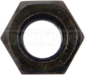 Dorman (Oe Solutions) 982-011d Nut||982-011d-001.Jpg||86||d18982011d||1086045