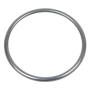 Walker Exhaust 31610 Exhaust Pipe Flange Gasket||||85||w2231610||1923098
