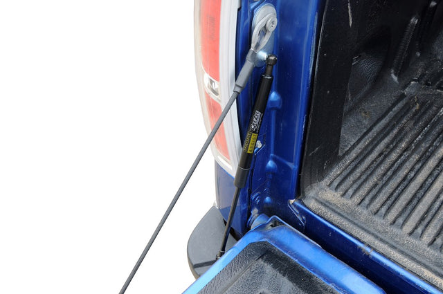 Product of Dee Zee Tailgate Assist (DZ43203)