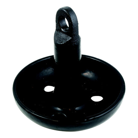 Product of Attwood Marine 9942b1 Boat Anchor