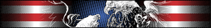Chroma Graphics 049504 Window Graphics||||85||c54049504||2009955