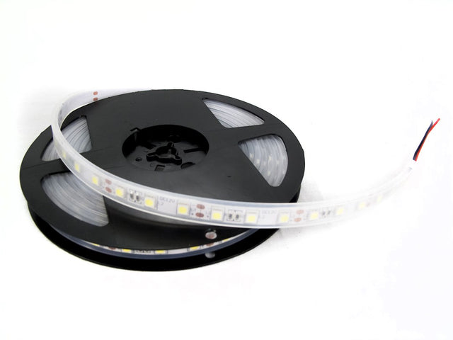Race Sport Lighting Ms9ftwstrip-R Rope Light||ms9ftwstrip-R.Jpg||85||rsl9ftwstripr||1501368