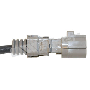Walker Products 350-34501 Oxygen Sensor||350-34501_3.Jpg||88||w8035034501||1285682