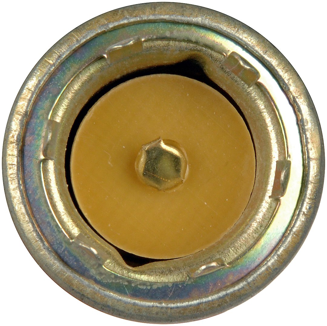 Dorman (Oe Solutions) 85806 Courtesy Light Socket||85806-001.Jpg||85||d1885806||1180675