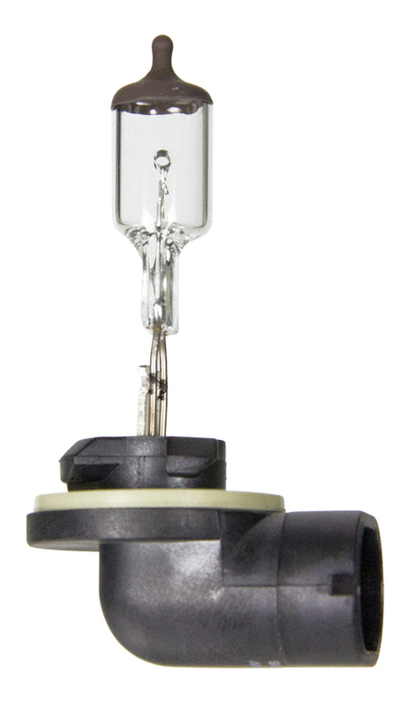 Wagner Lighting Bp898 Driving/ Fog Light Bulb||bp898_P01_Sid.Jpg||91||w31bp898||1215240