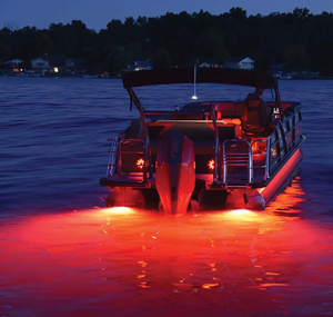 Hella Marine Lights 016148001 Boat Underwater Light||016148001_1.Png||86||hlt016148001||2470639