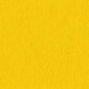 Product of Shurtape 105375 Masking Tape
