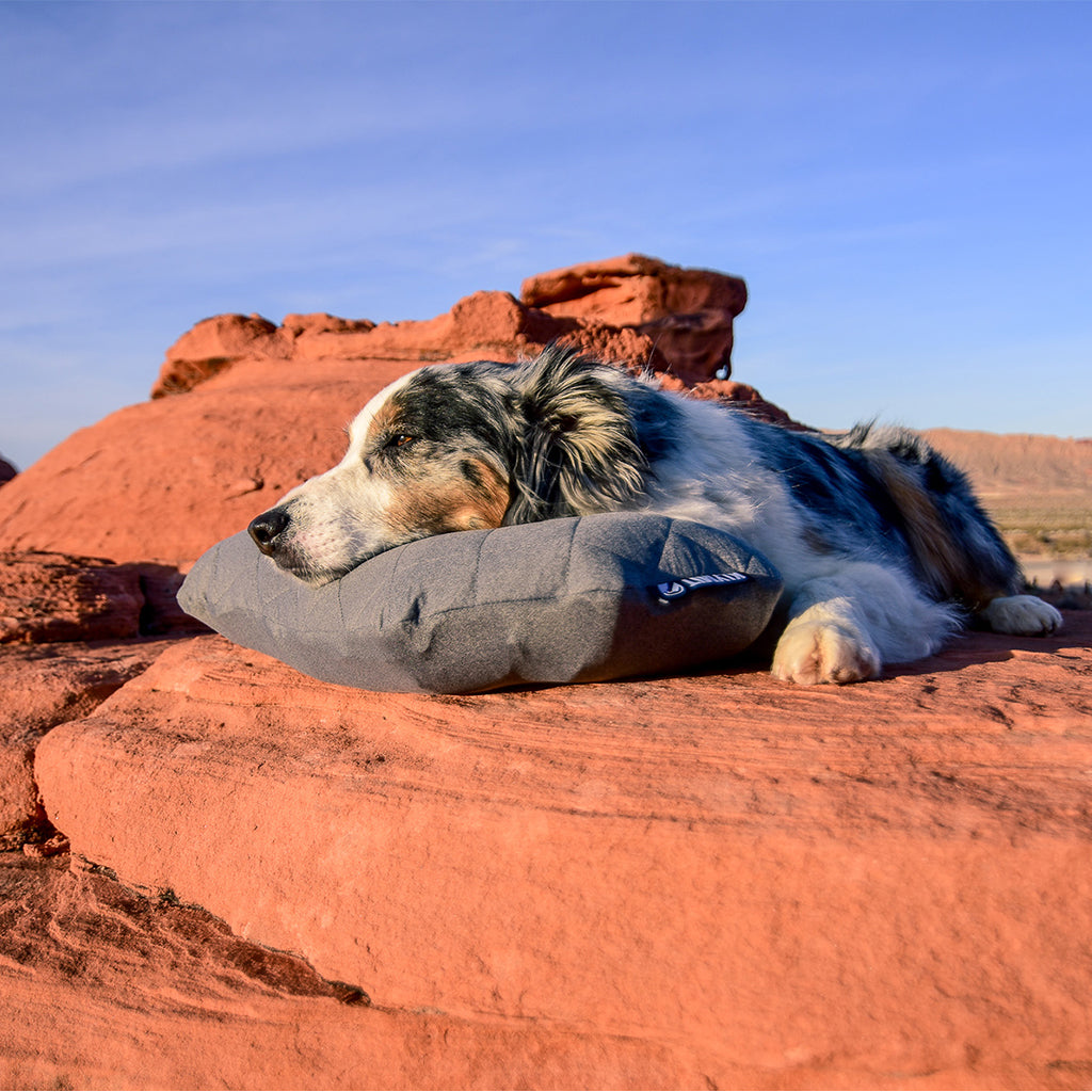 Product of Klymit 12lpgy01d Pillow