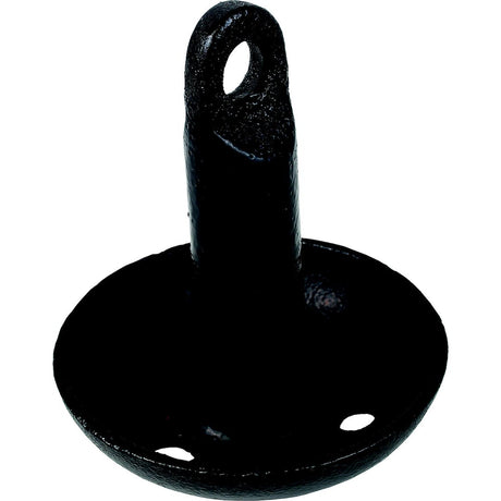 Product of Attwood Marine 9941b1 Boat Anchor