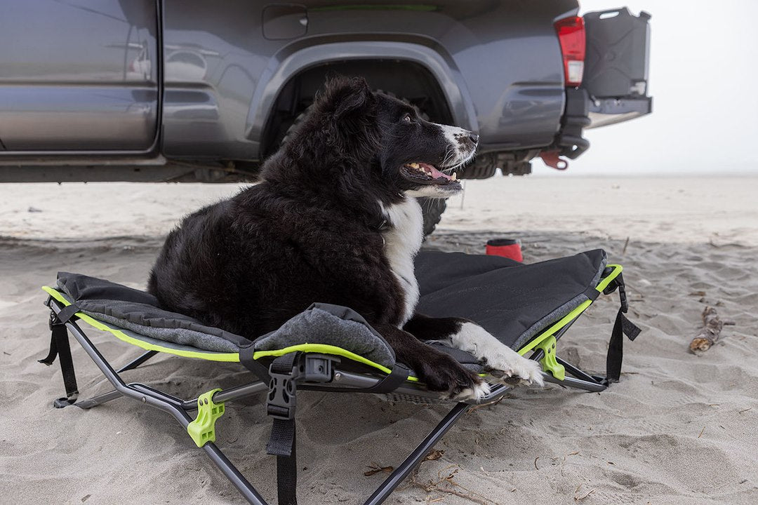 Product of Ironman 4x4 Ipet0023 Pet Bed