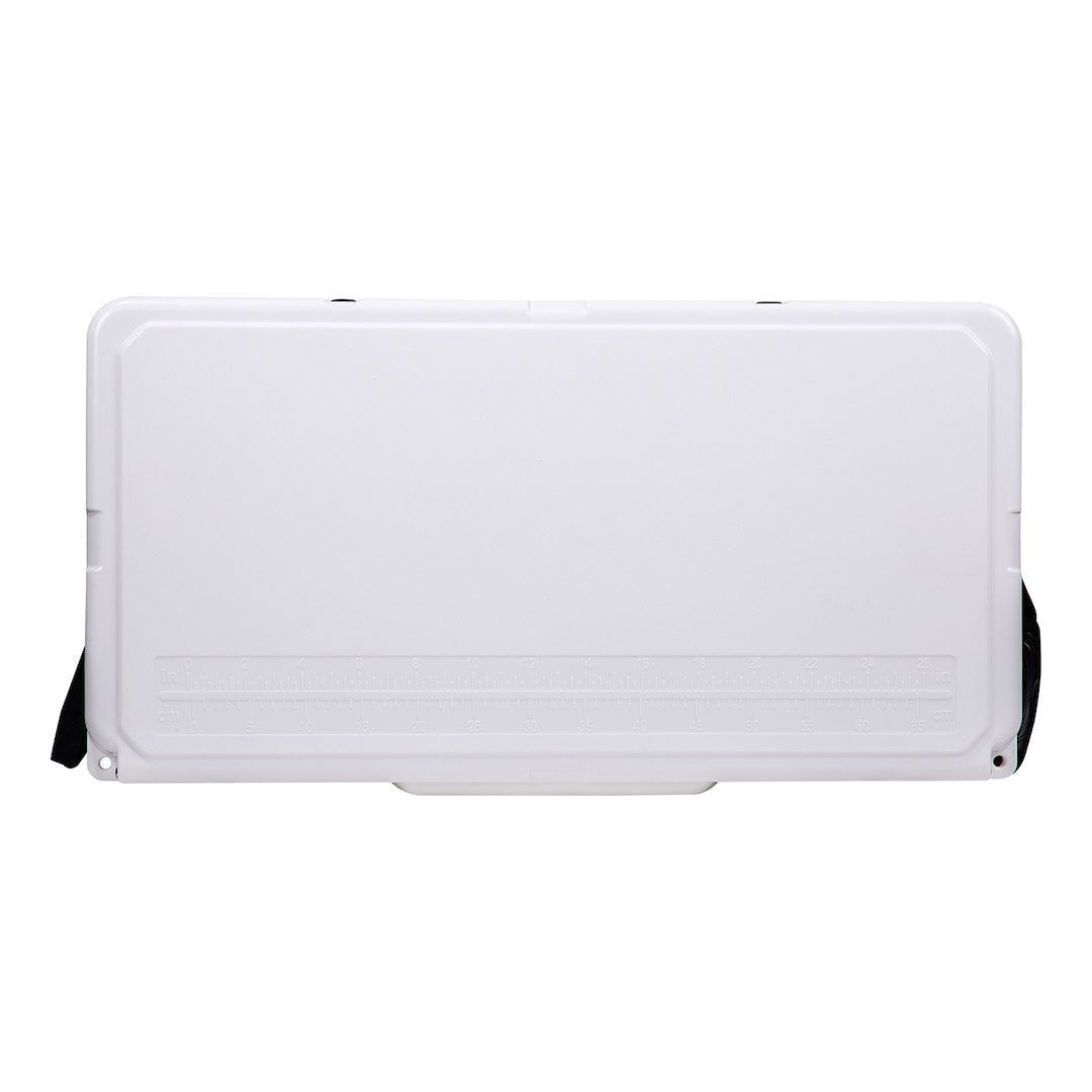 Product of Husky Towing Big Dog Beverage Cooler 75 Quart BDC75 