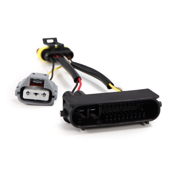 Alpharex Usa 810030 Headlight Wiring Harness||810030_4.Jpg||89||alp810030||1743432