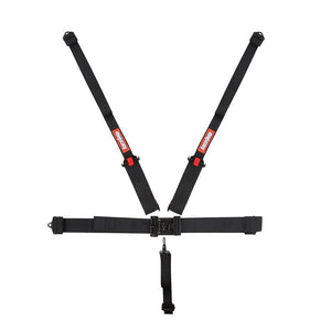 Product of Racequip 717007 Seat Belt
