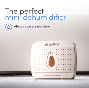 Product of Eva-Dry E-333 Dehumidifier