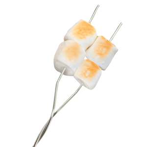 Coghlan's 8975 Campfire Roasting Fork||8975_2.Png||87||c6r8975||1758806
