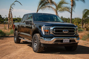 Icon Vehicle Dynamics 91823e Coil Over Shock Absorber||f150_Blue_2_Weblarge.Jpg||89||i4391823e||1737675