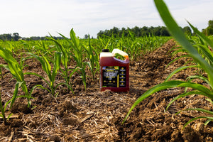 Product of Hot Shot's Secret/ Lubrication Specialties Hssedt01g Fuel Additive