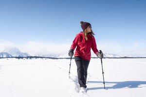 Airhead 83-0149 Walking Poles||yukon Charlies_Lifestyle_Camper Van_Trekking Poles -30.Jpg||88||a4m830149||860044