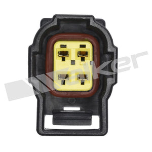 Walker Products 350-34360 Oxygen Sensor||350-34360_3.Jpg||88||w8035034360||953531