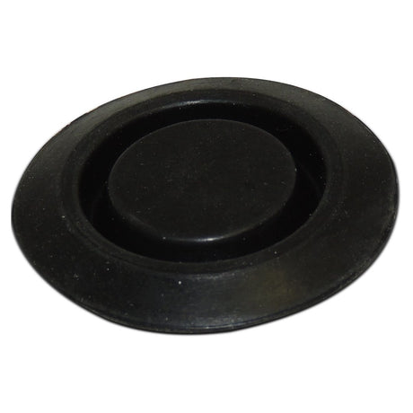 Product of Crown Automotive 55177482aa Body Panel Plug