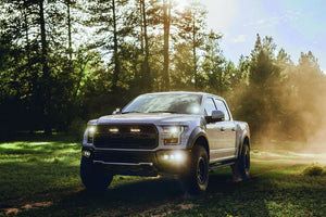 Rigid Lighting 512313 Driving/ Fog Light||512313_1.Jpg||86||r2g512313||1231563