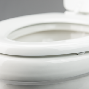 Product of Dometic 302320081 Permanent Full Bowl Flush Toilet , 18-1/4 Inch 