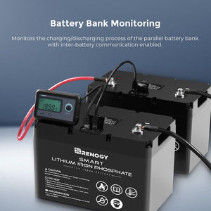 Renogy Rms-Lfps-G1-Us Battery Monitor||rms-Lfps-G1-Us_4.Jpg||89||ren9714323||2259484