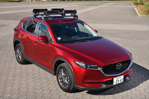 Product of Inno Racks Ina951 Ski Carrier - Roof Rack Kit