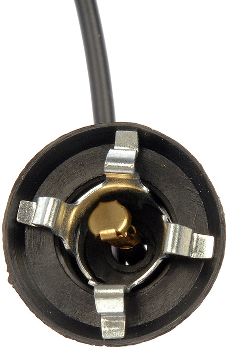 Dorman (Oe Solutions) 85805 Courtesy Light Socket||85805-001.Jpg||85||d1885805||917646
