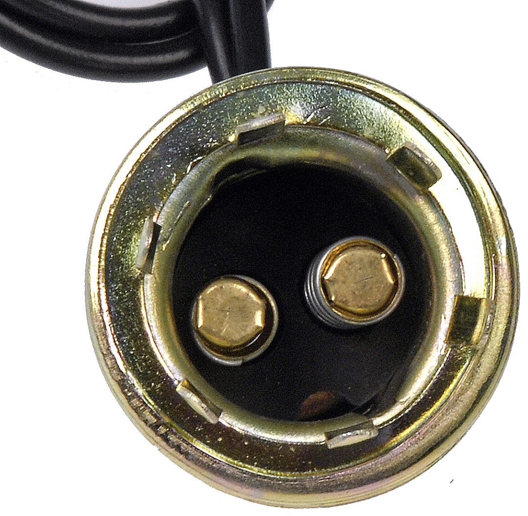 Dorman (Oe Solutions) 85803 Courtesy Light Socket||85803-003.Jpg||87||d1885803||1355035