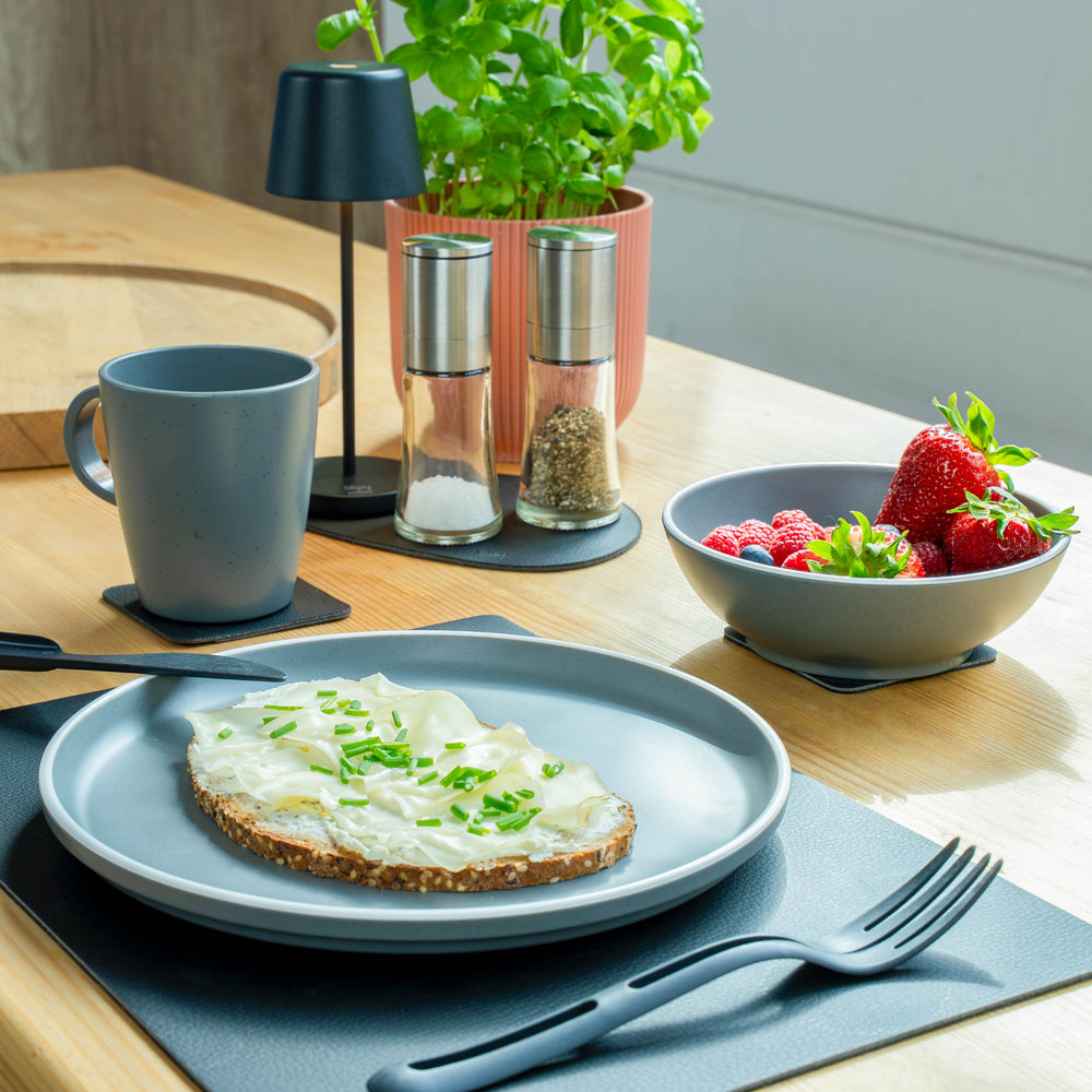 Silwy Magnetic Sybr-Kgs-11-A Dish Set||sybr-Kgs-11-A_3.Jpg||88||swyybrkgs11a||1745469