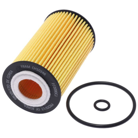 Product of Fram Filter DL10246 Cartridge Oil Filter 