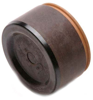 Raybestos Brakes Dp85020 Caliper Piston||||86||r42dp85020||1914535
